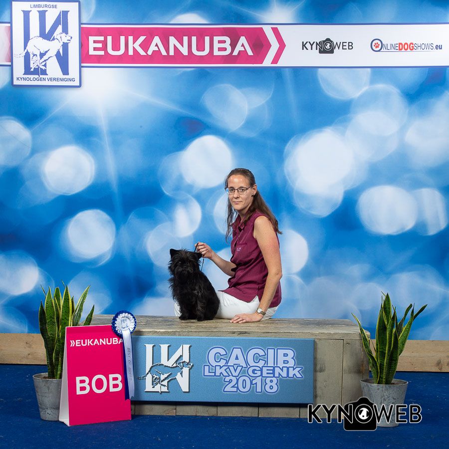 Expo Canine Internat. GENK